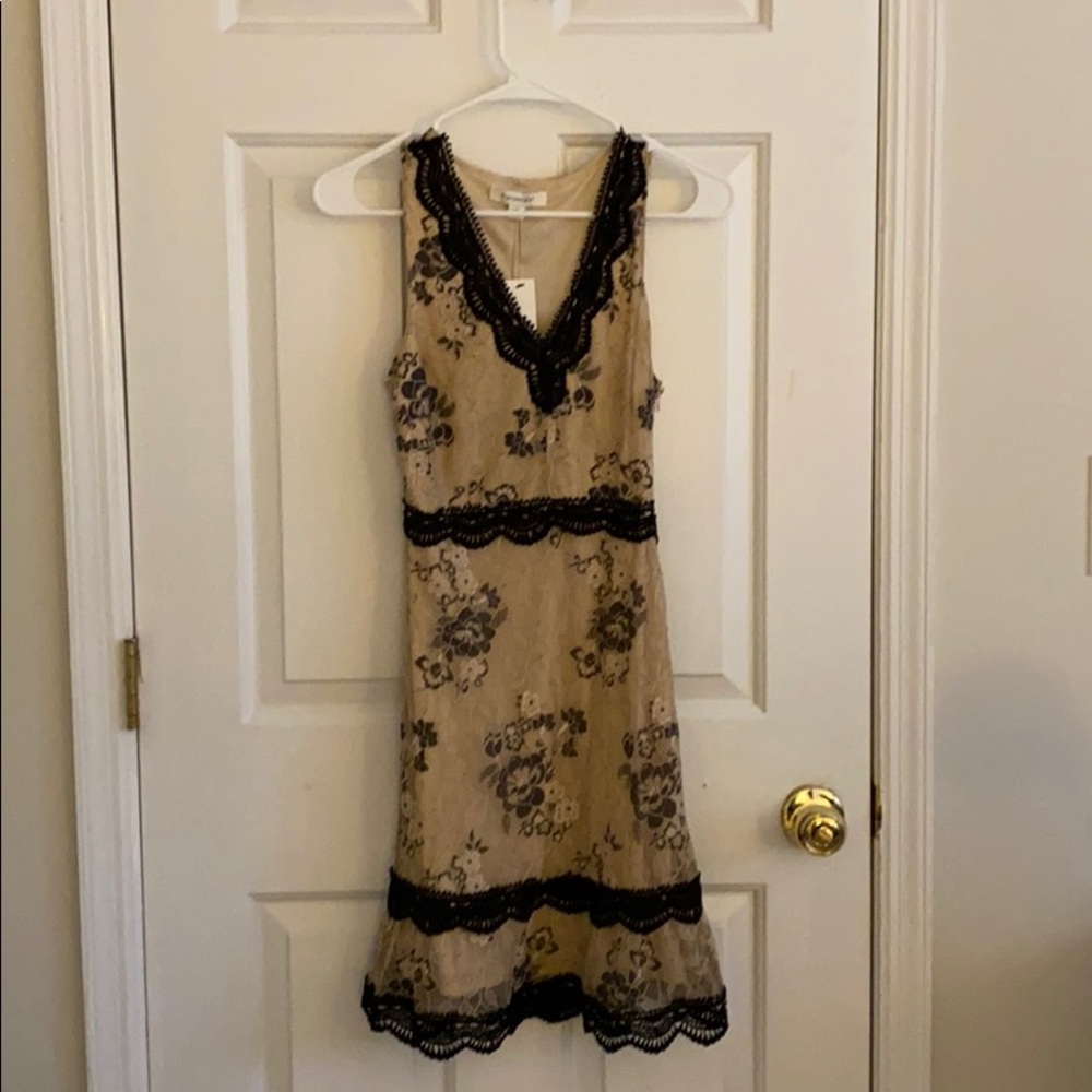 Francesca’s Nude Lace Dress